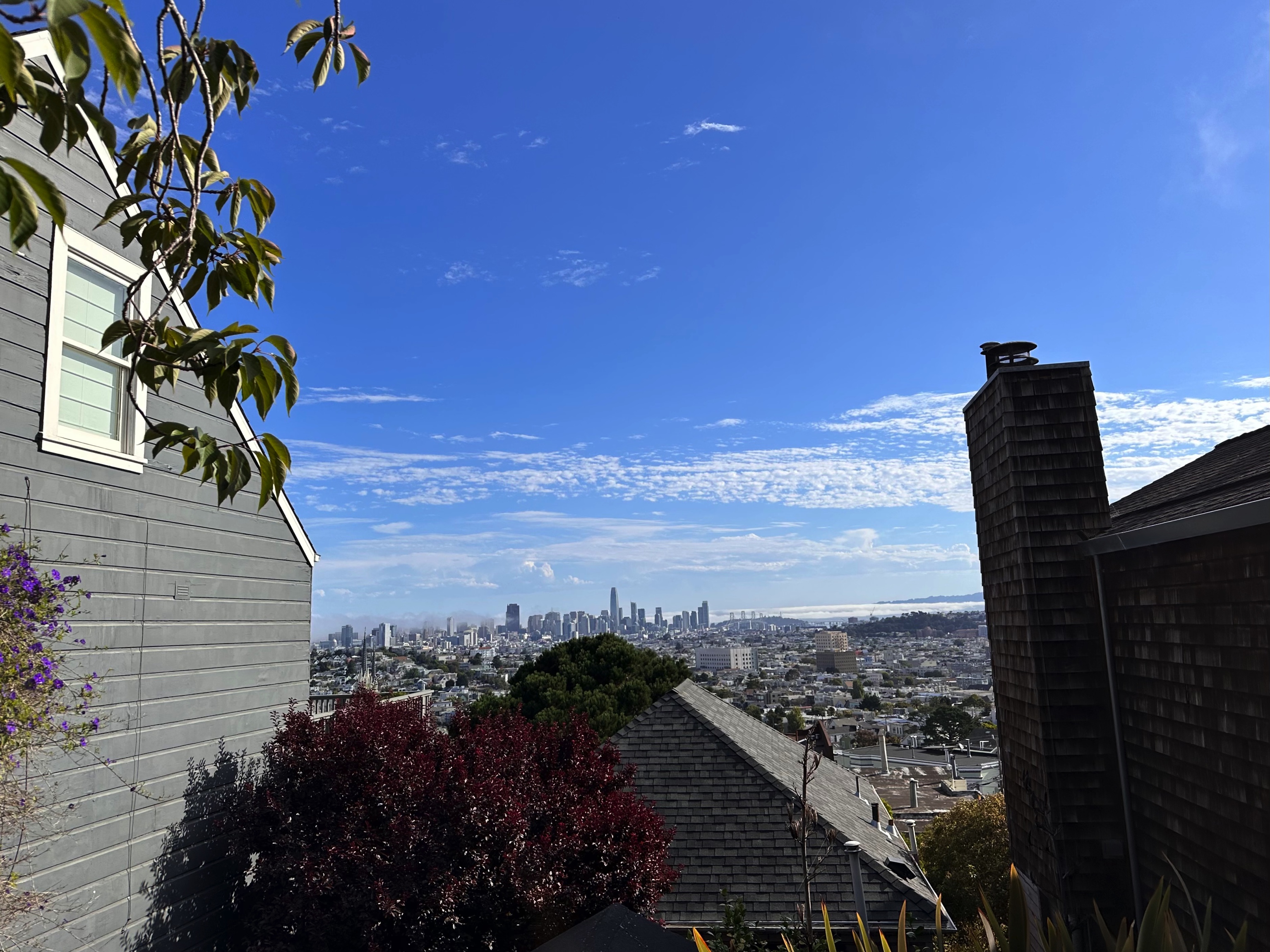 A picture of San Francisco
